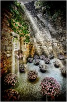 /album/fotogaleria-girona/mg-8951-640x480-jpg/